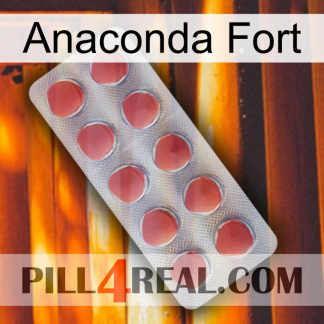 Anaconda Strong 18